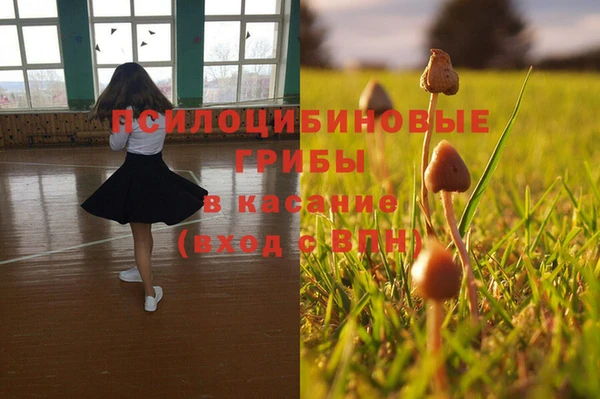 гашик Алексеевка
