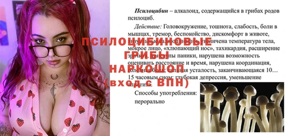 гашик Алексеевка